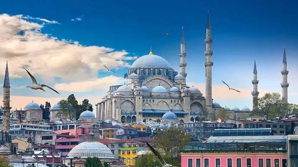 土耳其进口产品 土耳其进口产品